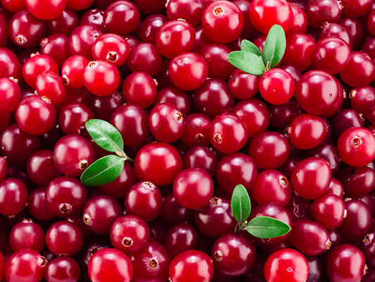 Cranberry