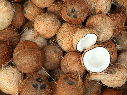 Coconut | Instabar