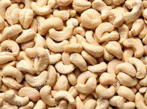 Cashew