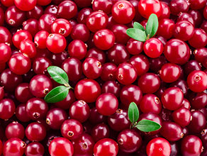 Cranberry 